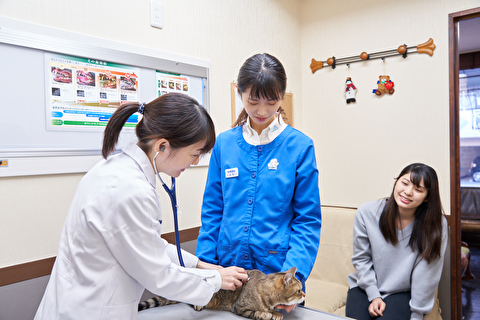 veterinary services